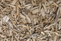 biomass boilers White Stake